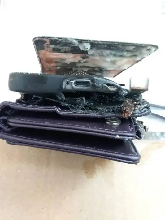 Samsung Galaxy S25 FE exploded device showing burnt and damaged components (Photo: Samsung)