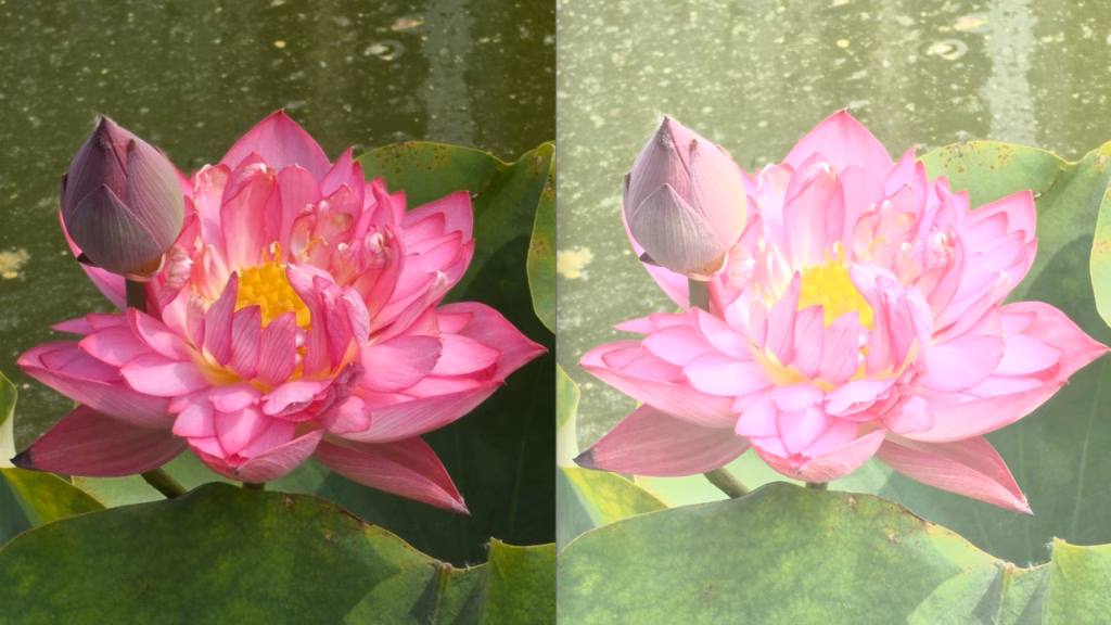 Sony Xperia 1 VIII Review: AI Camera Fumble or Hidden Gem?