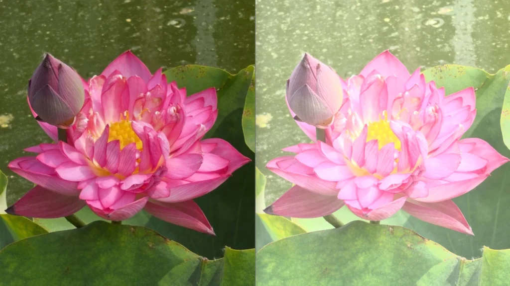 Sony Xperia 1 VIII Review: AI Camera Fumble or Hidden Gem?