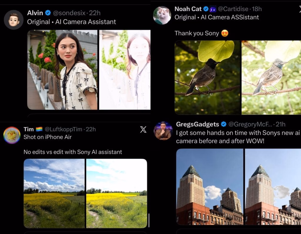 Comparison of Sony Xperia 1 VIII AI Camera Assistant photo before and after processing