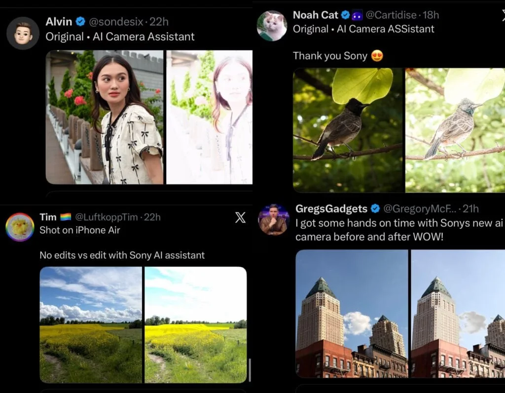 Comparison of Sony Xperia 1 VIII AI Camera Assistant photo before and after processing