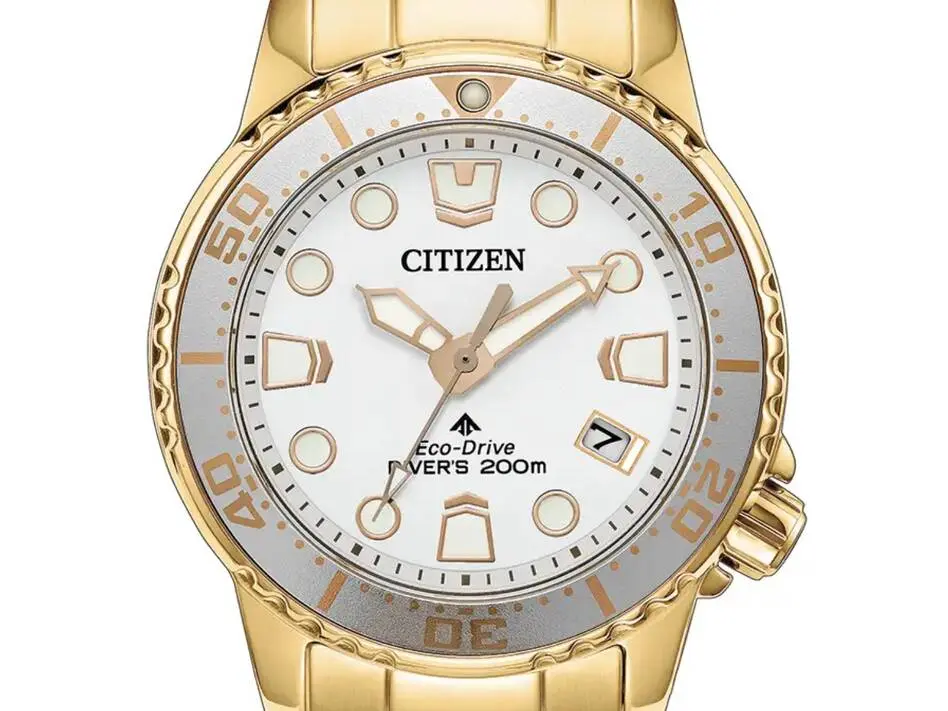 Citizen EO2029-54A compact gold-tone diver watch with 36 mm case and Eco-Drive movement